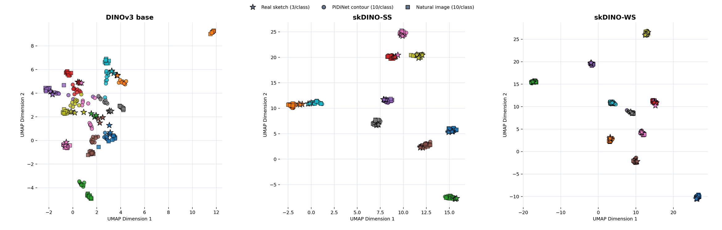 UMAP of DINOv3, skDINO-SS and skDINO-WS embeddings